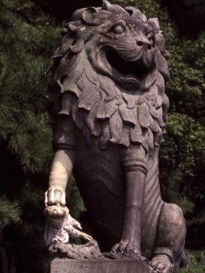 Chinese Lion Chinese Lion