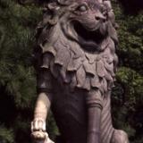 Chinese Lion