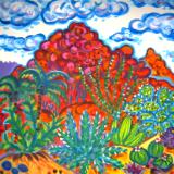 Camelback Cactus Garden