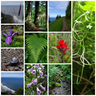 Beautiful PNW! Beautiful PNW!