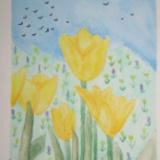 Yellow Tulips