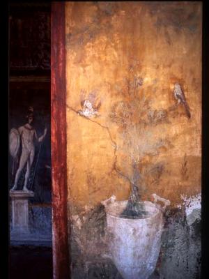 Mars and white urn - House of Venus on the Shell, Pompeii Mars and white urn - House of Venus on the Shell, Pompeii