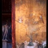 Mars and white urn - House of Venus on the Shell, Pompeii