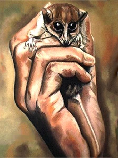 A Marmoset in the Hand