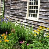  Old house's Garden