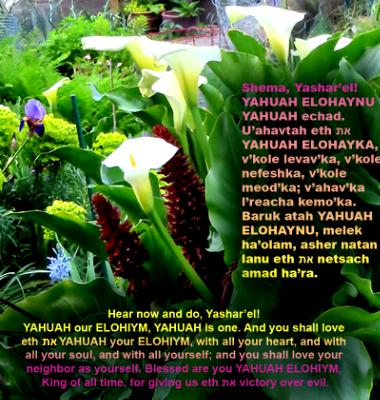 Blessing_Day 4_Morning Blessing_Day 4_Morning