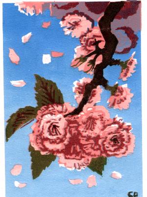 "Cherry blossoms" "Cherry blossoms"