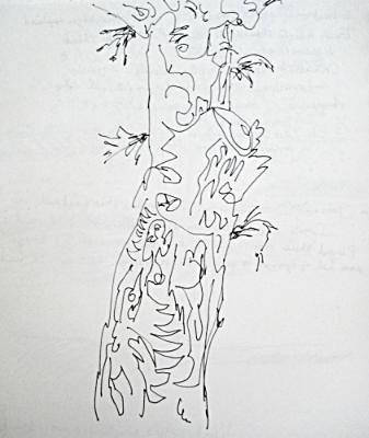 One Tree One Tree