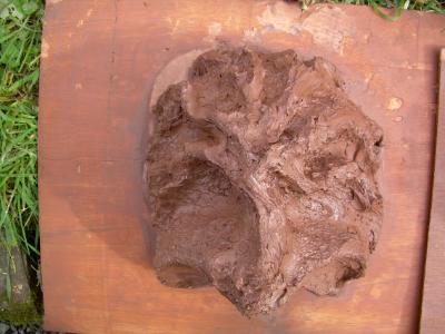 Clay Earth