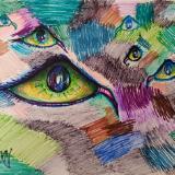 A Visual Abstract of the Wolves