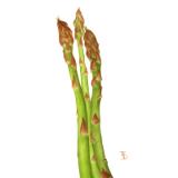 Asparagus