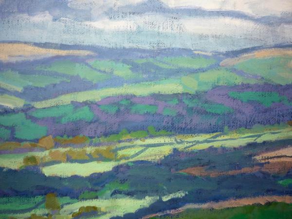 On the moor near Peter Tavey