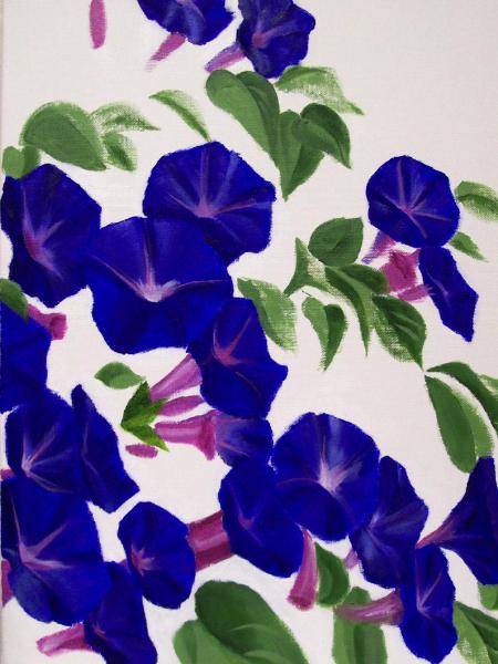 Morning Glories