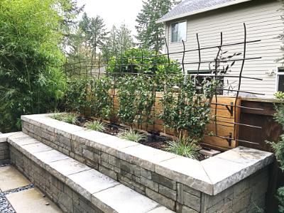 Custom Organic Trellis