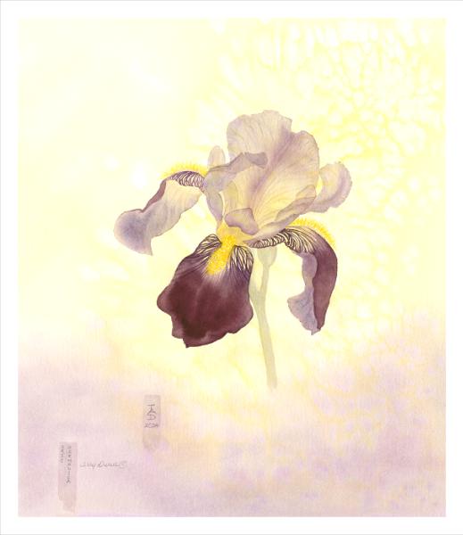 The Mysterious Iris