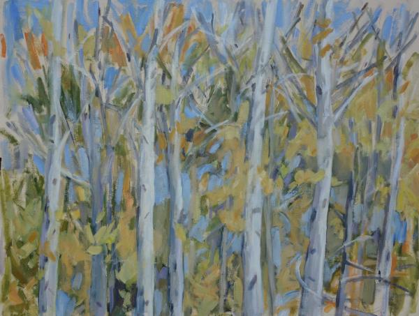 Aspens II
