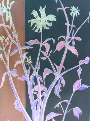Dalphinium Dalphinium