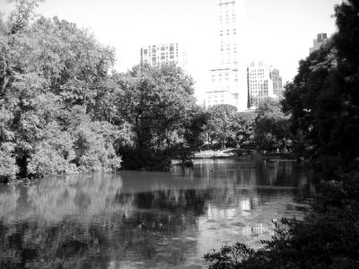 "Central Park"