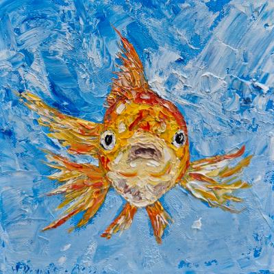 Gold fish Gold fish