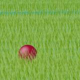 red ball all alone in marsh