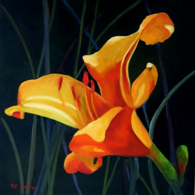 Yellow & Orange Day Lily - oil - 20x20 Yellow & Orange Day Lily - oil - 20x20