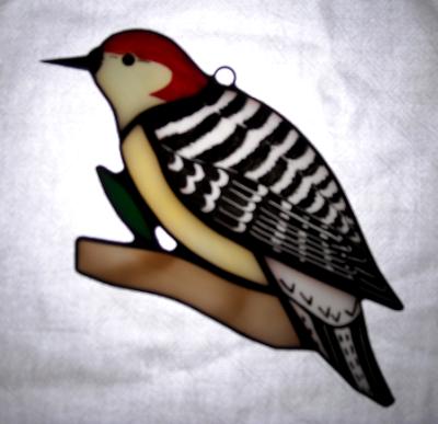 Red Bellied Woodpecker Red Bellied Woodpecker