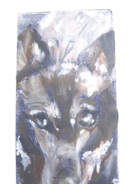 Mono lobo 4