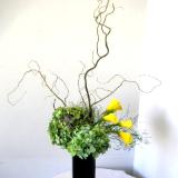 Ikebana by the Bay