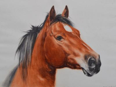 QUINCY, 25cm x 35cm, 2017 QUINCY, 25cm x 35cm, 2017