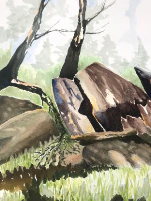 Sun-dappled Tocks: Dyar Spring, Cuyamacas Sun-dappled Tocks: Dyar Spring, Cuyamacas