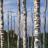 Aspens