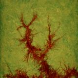Zephyr Series No. 16