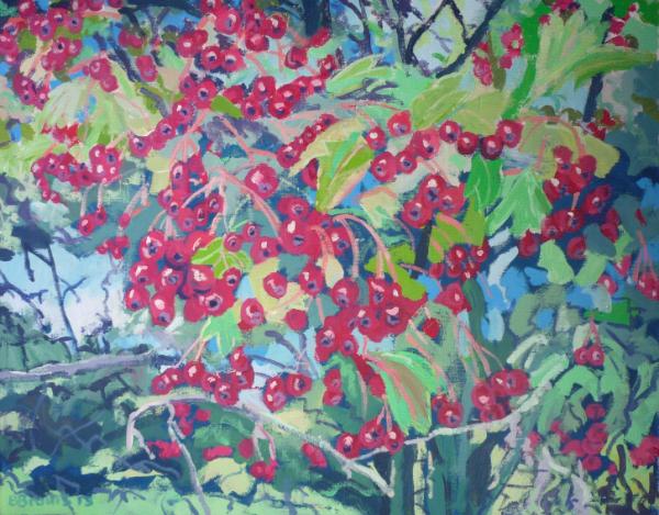 Hawthorn berries on Dartmoor