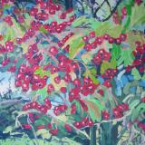 Hawthorn berries on Dartmoor