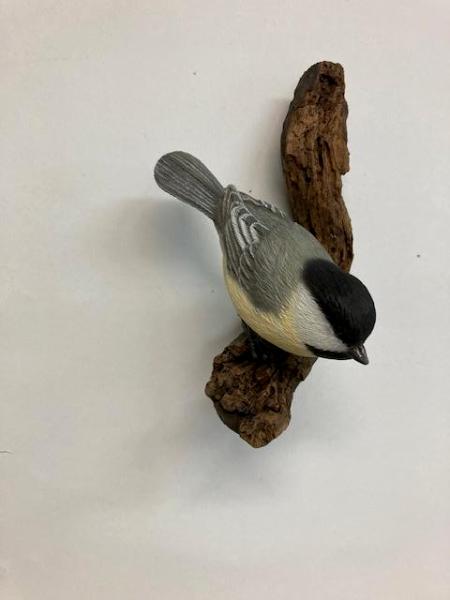 Chickadee #56