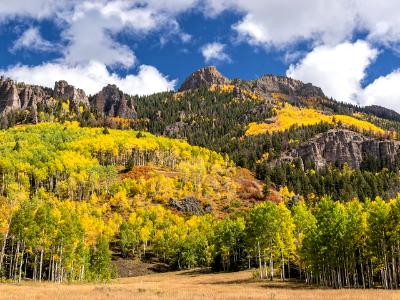 Stony Ridge Autumn in Uncompahgre National Forest Stony Ridge Autumn in Uncompahgre National Forest