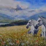 Horses of the HONEOYE LAKE, 76cm x 56cm, 2017