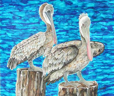 Pelicans Pelicans