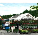 farmstand #9:  nurel's farmers market