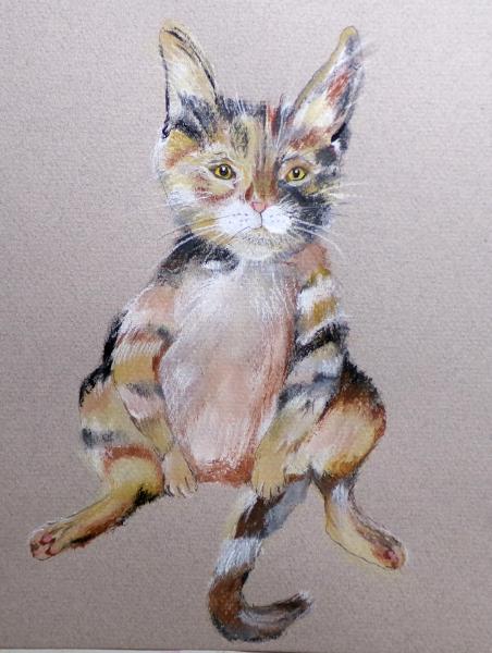 Calico Kitty