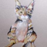 Calico Kitty
