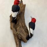 Pair life size Red Headed Woodpeckers 
