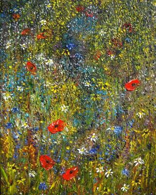  Field Poppies