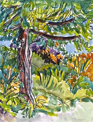 Master Garden Blooming