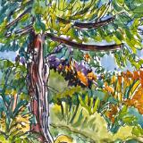 Plein Air Impressions Plein Air Impressions