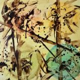 Fractures  