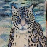 Snow Leopard Portrait 