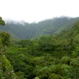 The wettest spot on earth! The wettest spot on earth!