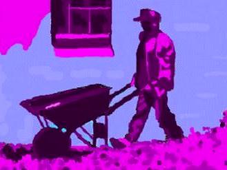 The Day Worker The Day Worker