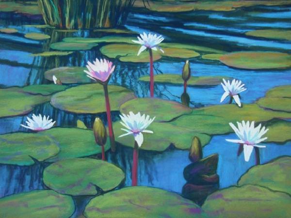 Water Lillies